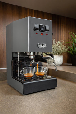 Gaggia Classic Evo, Grau - Kaffeewelt