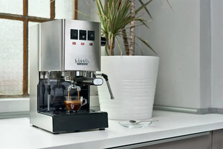 Gaggia Classic EVO E24 (neues Modell) Edelstahl - Kaffeewelt