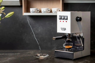 Gaggia Classic Evo, Weiß - Kaffeewelt