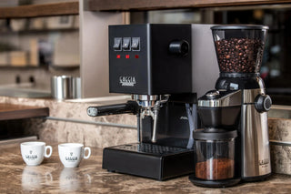 Gaggia Classic Evo, Schwarz - Kaffeewelt